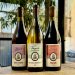 BTL  JARNIT FAMILY WINES  2023 VINTAGE SET 