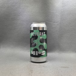 Verdant (x Green Cheek) 10yrs - Beermoth