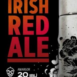 ZEV Irish Red Ale - Central da Cerveja