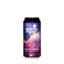 Gravity Well  Planetary Alignment Fruited Gose - Craft Metropolis