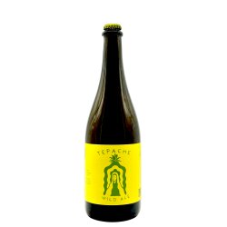 Hildegard - Tepache Wild Ale - Drikbeer