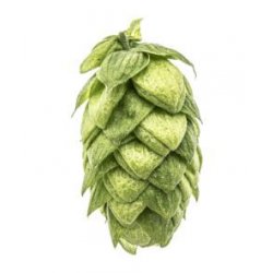 Lúpulo Magnum Hopsteiner x 1 Kg - The Craft Drinks Lab