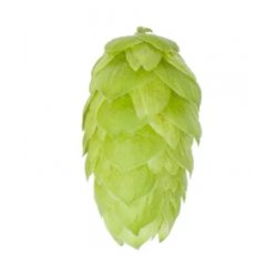Lúpulo Comet Hopsteiner x 1 Kg - The Craft Drinks Lab