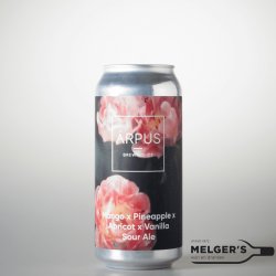 Ārpus  Mango x Pineapple x Apricot x Vanille Sour Ale 44cl Blik - Melgers