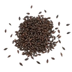 Roasted Barley (Fa-1400 EBC  660L) - Schuema - Panama Brewers Supply