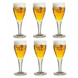 Brugze Zot bierglazen  33cl  6 stuks - Speciaalbierglazen.nl