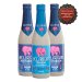 Kit Degustação 3 s Delirium 330ml 