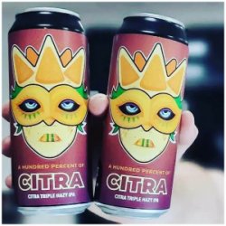 Browar Gwarek A Hundred Percent of Citra