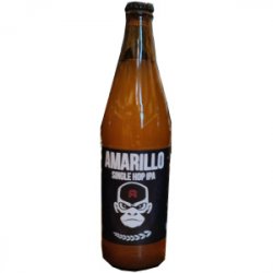 Browar Nieczajna Amarillo Single Hop IPA Browar Nieczajna Amarillo Single Hop IPA