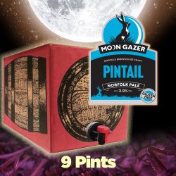 Moon Gazer Pintail Norfolk Pale 9 Pint Polypin - Beers of Europe