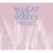 Mikerphone Wheat Like Waves 4pk 16oz Cans 