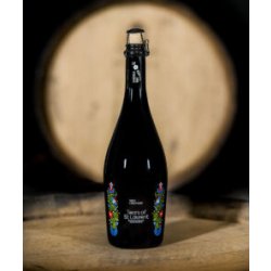 Wild Creatures Tears of St Laurent