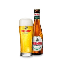Haacht Primus