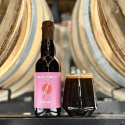 Nano Cinco Space Rocket