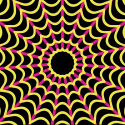 SOMA Beer Nebula SOMA Beer Nebula