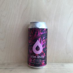 Polly's Brewing Co 'Trim Levels' Pale Ale Cans - The Good Spirits Co.