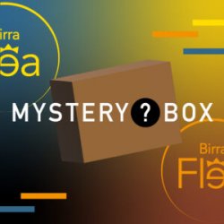 Mystery Box 75 cl. - Birra Flea