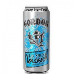 Gordon Gin Spices Xplosion Lata 50Cl - Cervezasonline.com