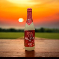 DELIRIUM RED STRONG FRUIT BEER BOTELLA 330 ml - Hidden Beers