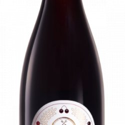 Boon millésime oude schaarbeekse kriek 2020 75cl - Famous Belgian Beer