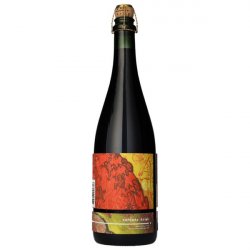 Insight Cellars  Nordens Kriek 2023