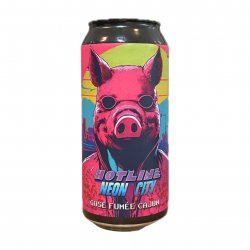 Game Over Hotline Neon CIty  Spiced Gose - Verdins Bierwinkel