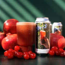 Evil Twin Brewing POMEGRANATE CHERRY BUBBLE TEA - Beer Force