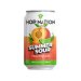 Hop Nation Summer Sour Peach & Lime 