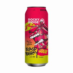 Rocky Ridge Brewing Co. - Rusty Raspberry Sour - The Beer Barrel