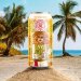 The Rum Runner Tiki Sour - CoConspirators Brewing Co 