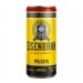 PILSEN EISENBAHN LATA 269ML 