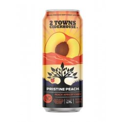 2 TOWNS PRISTINE PEACH APRICOT CIDER 19oz SINGLE CAN - Schaefer’s