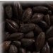 Malta Black KG 