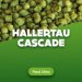 Hop pellets Hallertau Cascade 5 kg Hop pellets Hallertau Cascade 5 kg