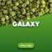 Hop pellets Galaxy - 1 kg Hop pellets Galaxy - 1 kg