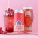 Vault City - Raspberry Cream Soda - 4.8% Raspberry Sour - 440ml Can 