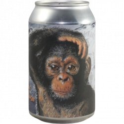 Goede Kant van het Spoor Monday Chimpanzee Goede Kant van het Spoor Monday Chimpanzee