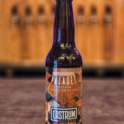 Castrum PALAUET Tostada Brown Ale 33 cl - Castrum