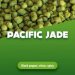Hop pellets Pacific Jade 5 kg Hop pellets Pacific Jade 5 kg