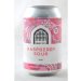 Vault City Raspberry Sour lattina 33cl 