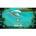 Kona Brewing Co. Big Wave Golden Ale 6 pack 12 oz. Kona Brewing Co. Big Wave Golden Ale 6 pack 12 oz.