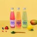 Viver KOMBUCHA PACK FRUIT LOVERS Viver KOMBUCHA PACK FRUIT LOVERS