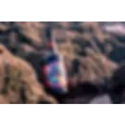 Gower Brewery Gower Power