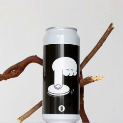 Totopia Brewery Pushphobia