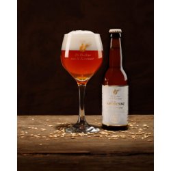 Brouwerij De Dochter van de Korenaar Noblesse à la Greque