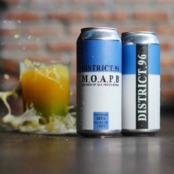 District 96 Beer Factory Mother of All Photo Bombs