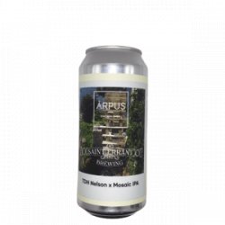 Arpus  Saint Errant Brewing TDH Nelson X Mosaic IPA - De Biersalon