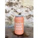 CBCo Brewing South West Sour Ale 