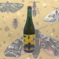 Artistraw Cider Gold Dust Artistraw Cider Gold Dust