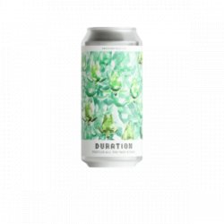 Duration Brewing Turtles All the Way Down
